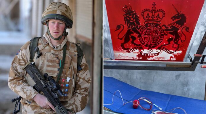 Prince Harry: Sculpture filled with human blood ‘to be projected on to St Paul’s Cathedral’ after duke’s kill claim