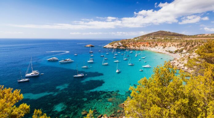 Dengue fever cases in Ibiza prompts warning to tourists from Spanish health officials