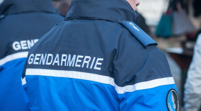France: Suspect killed and six police officers injured in house explosion during arrest – reports