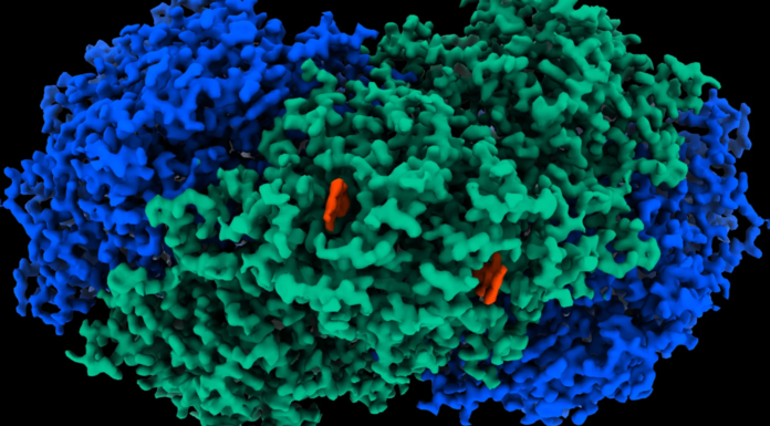 Enzyme discovery could see devices literally create energy from thin air