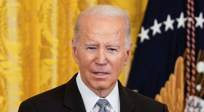 Biden vows US will ‘declassify’ information about COVID’s origins