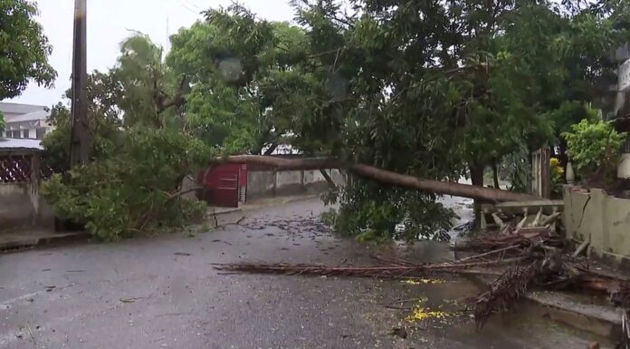 Record-breaking Cyclone Freddy kills nearly 200 in Malawi and Mozambique