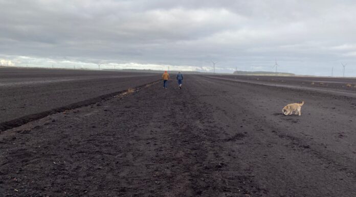 Why peat is on the frontline of our battle against climate change