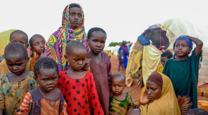 Somalia drought: UN estimates 43,000 deaths last year as 500,000 children likely to be malnourished
