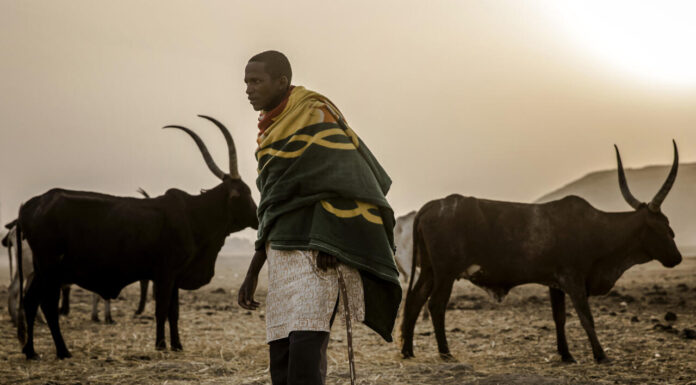 Dozens killed in Nigeria amid clashes between herders and farmers