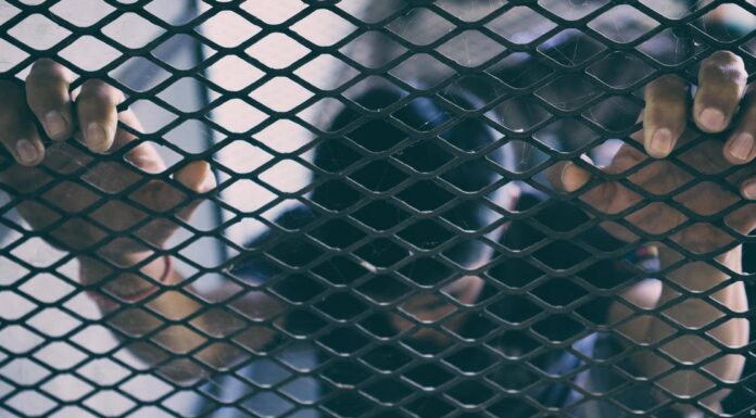 Southeast Asia: How to combat a human trafficking crisis