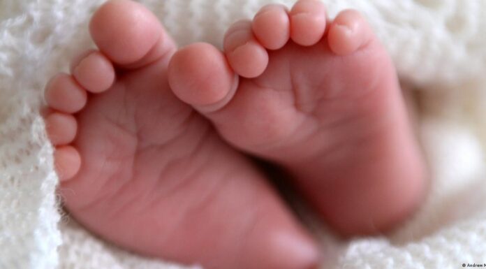 Dutch court orders sperm donor to stop after 550 children