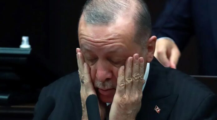 Erdogan cancels election rallies due to upset stomach