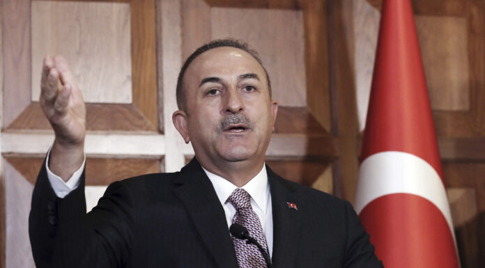 Syrian, Turkish presidents could meet in May: Turkish FM
