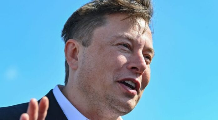 Elon Musk Is Creating an OpenAI Competitor