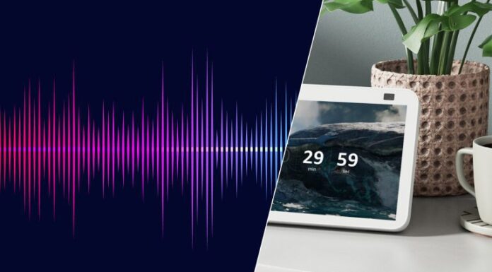 Millennials Willing to Pay For Smart, Conversational Voice Assistant