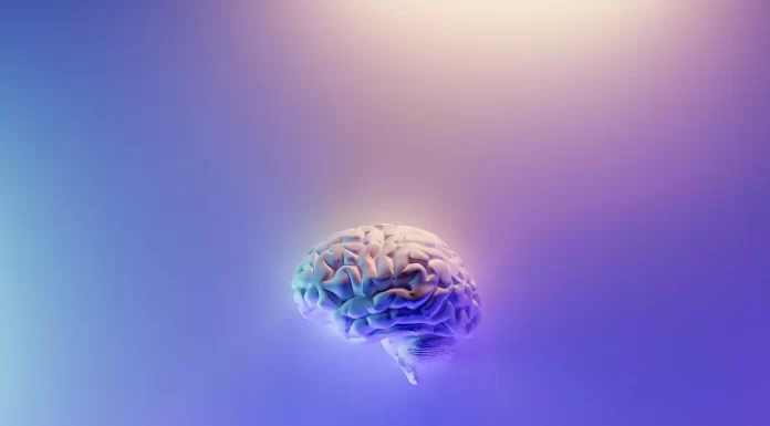Brain training probably doesn’t help ADHD – new study