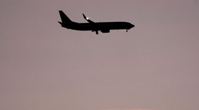 Full list of unruly plane passenger cases referred to the FBI for prosecution