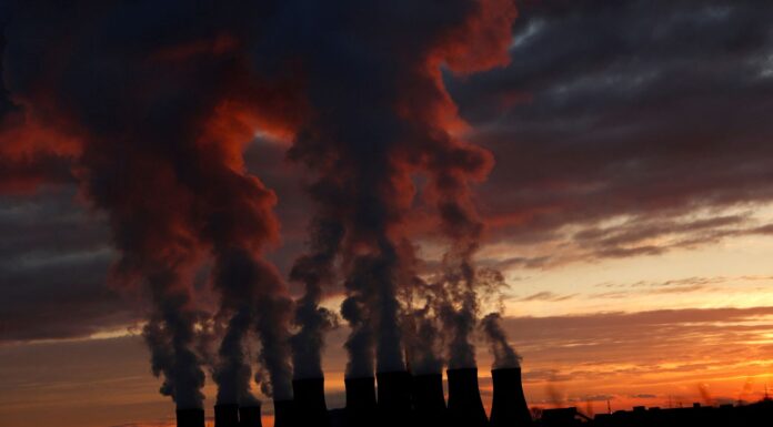 Power giant Drax told by own advisers to stop calling biomass ‘carbon neutral’