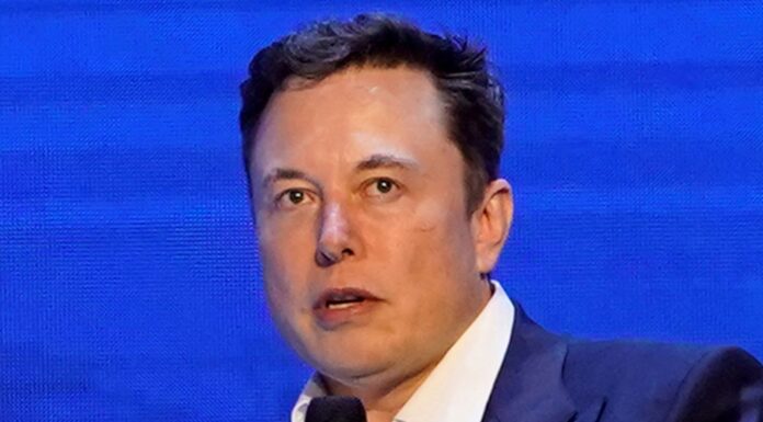 Elon Musk says his dog is now Twitter’s CEO – as company’s name gets quietly changed