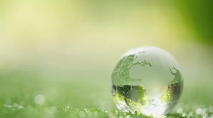 How Asia’s green economy will transform the world in the next decade