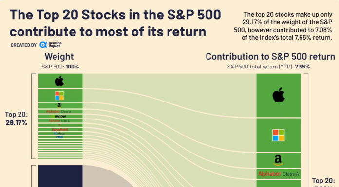 Just 20 Stocks Have Driven S&P 500 Returns So Far in 2023