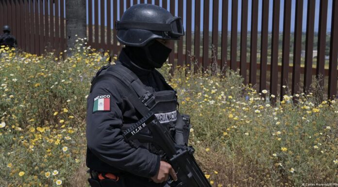 Mexico finds 49 kidnapped migrants