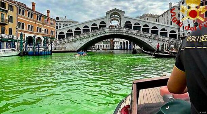 Italy: Water in Venice’s Grand Canal goes bright green