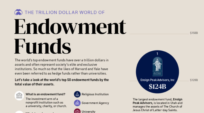 Ranked: The World’s Top 50 Endowment Funds