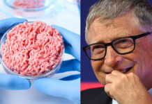 Bill Gates’ Lab-Grown ‘Meat’ 25 Times Worse for Climate than Beef, Study Finds