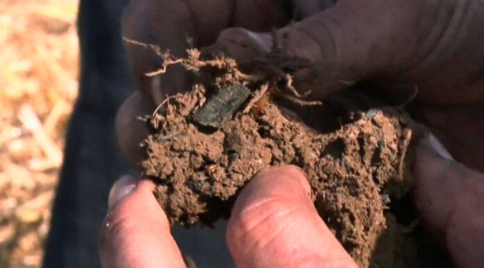 The ‘black gold’ that could help fight climate change for centuries to come