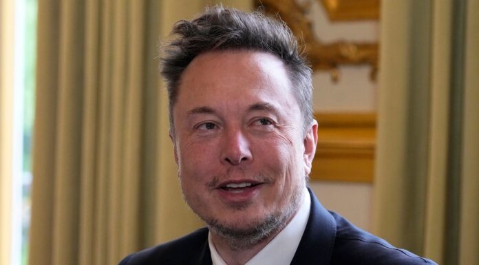 Elon Musk says artificial intelligence isn’t ‘necessary for anything’