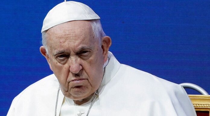 Pope tells young Italians to stop being ‘selfish’ and ‘egotistical’ and have more children instead of pets