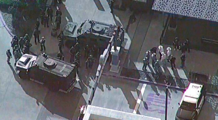 Nine dead including suspect after shooting at US shopping mall