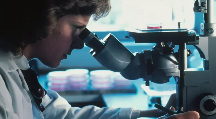 Is digital health the next frontier in the global fight against cancer?