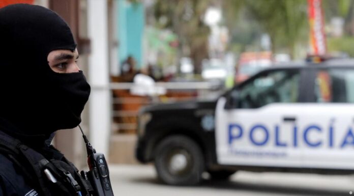 Mexico: Police discover 45 bags containing human remains