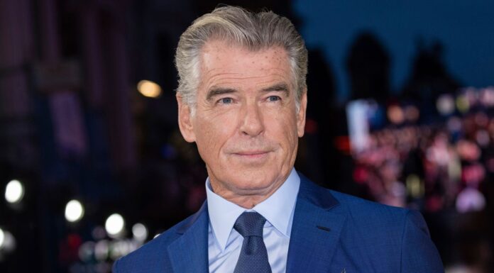 Arrest as man ‘uses Pierce Brosnan’s outdoor shower after defecating in neighbour’s garden’
