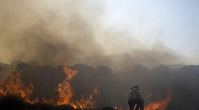 As new wildfires rage in Greece, a survivor and a firefighter share their stories