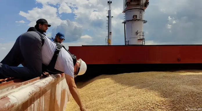 Erdogan claims Putin agreed to renew Black Sea grain deal