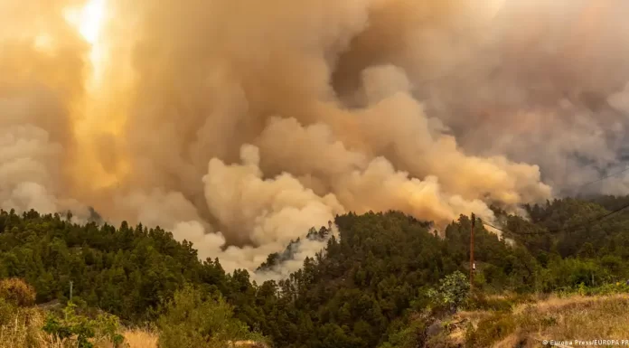 Spain: 2,000 ordered to evacuate over La Palma wildfire