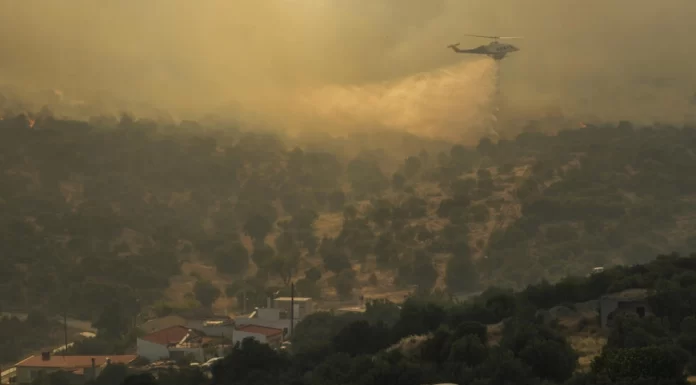 Extreme heat sparks wildfires, health warnings around the world