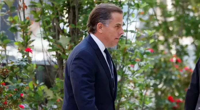 Hunter Biden pleads not guilty to tax charges