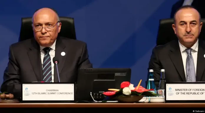 Egypt, Turkey appoint ambassadors after a decade-long rift