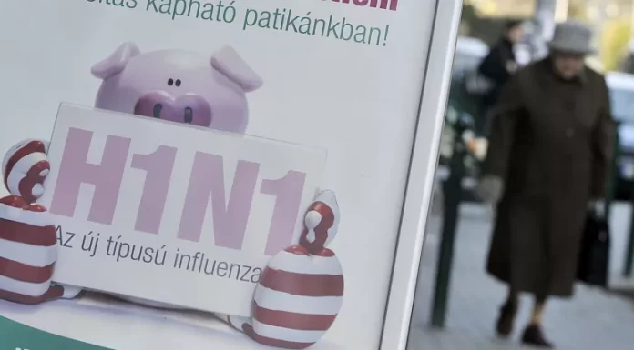 ‘Swine flu’ strain passed from humans to pigs nearly 400 times since 2009 – new study