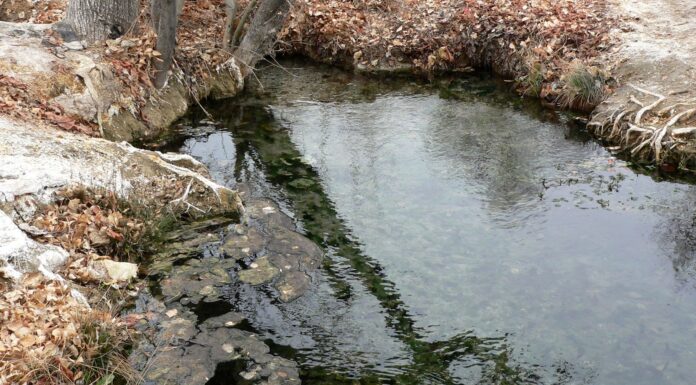 Two-year-old dies from brain-eating amoeba