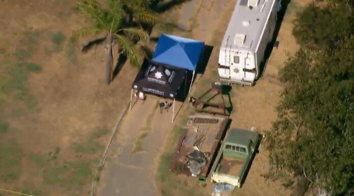 Three-year-old shoots and kills baby sister in California