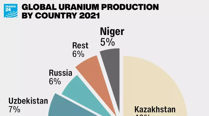 Does the coup in Niger threaten nuclear power plants in France?