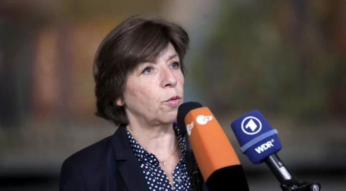 Safety of French nationals is ‘only priority’ in Niger, says foreign minister