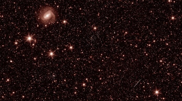 Space telescope Euclid captures glittering galaxies and stars in first images