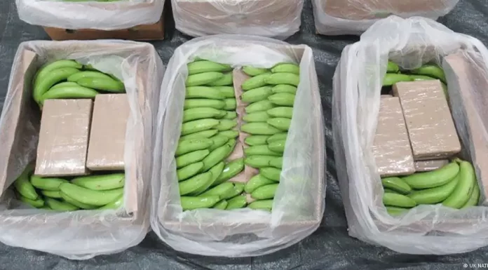 UK police seize record cocaine shipment bound for Hamburg