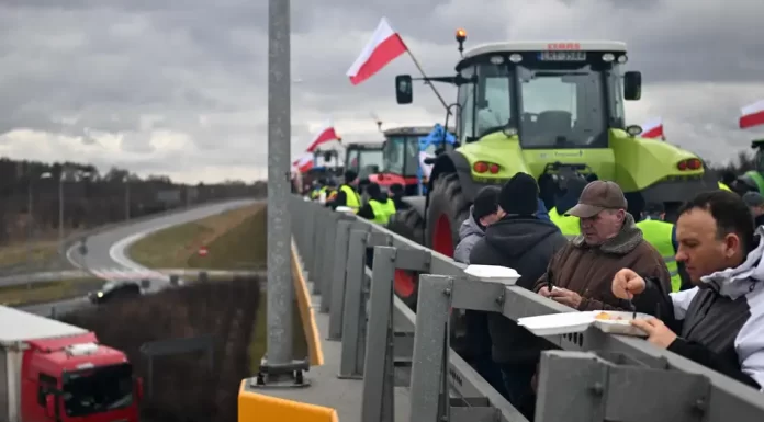 Polish farmers block crossings on German border again