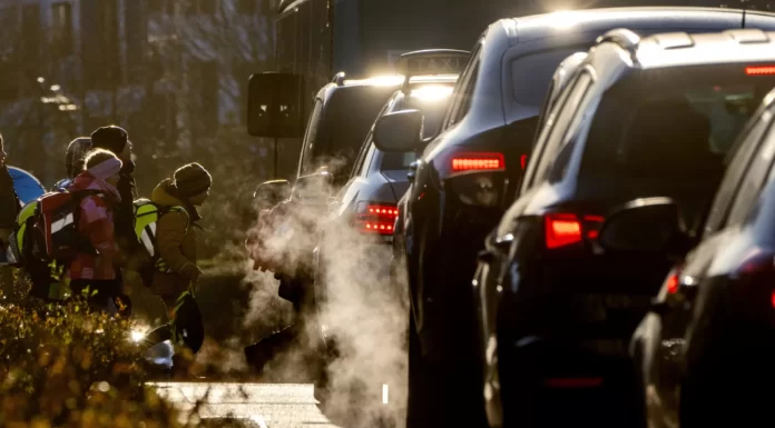 Why are carmakers pleading for a respite from EU climate policy?