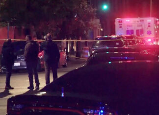 DC Jewish museum shooting: Two Israeli embassy staff killed, suspect detained