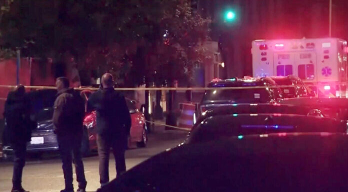 DC Jewish museum shooting: Two Israeli embassy staff killed, suspect detained